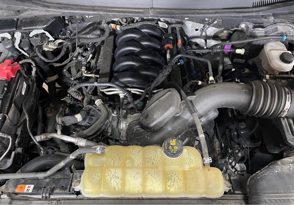 2019 FORD F-150 XL