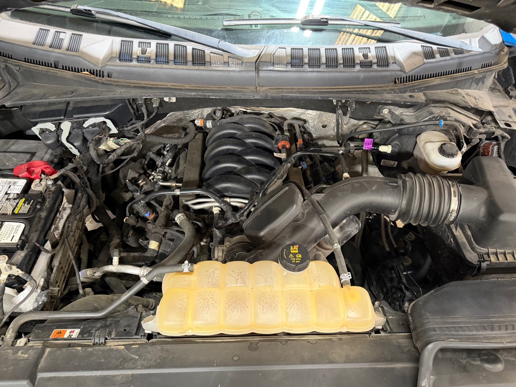 2019 Ford F-150 XL - Photo 7